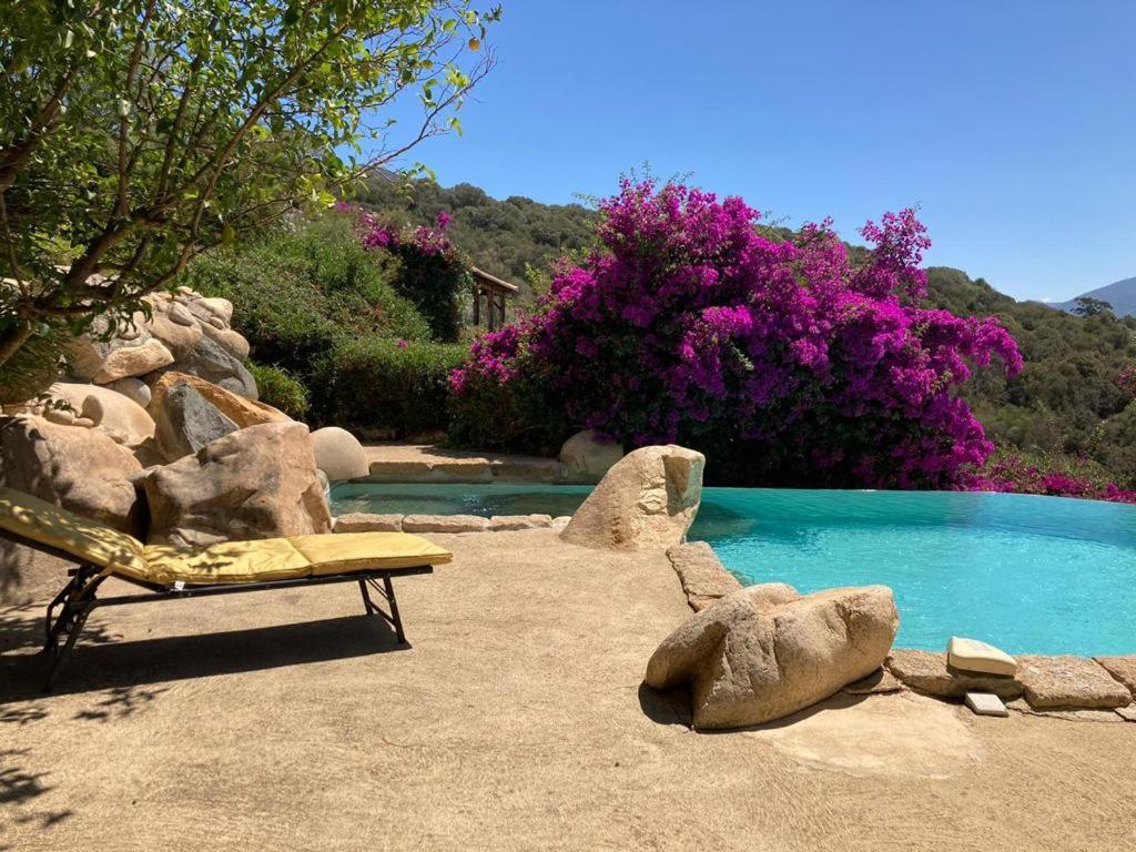 Villas Valinco San Martinu Corse Du Sud - Vue Et Proche Mer - Piscines-7 Chambres Olmeto  Luaran gambar